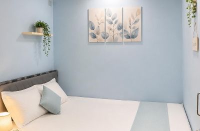 Single (Couple Bed ) Non-AC 311